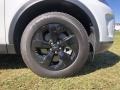 Fuji White - Discovery Sport Standard Photo No. 10