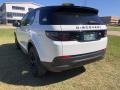 Fuji White - Discovery Sport Standard Photo No. 11