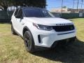 Fuji White - Discovery Sport Standard Photo No. 13