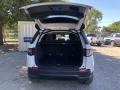 Fuji White - Discovery Sport Standard Photo No. 25