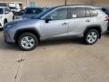 Silver Sky Metallic - RAV4 XLE AWD Photo No. 1