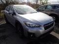 Ice Silver Metallic - Crosstrek 2.0i Premium Photo No. 4