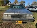 Silver Metallic - El Camino Conquista Photo No. 10