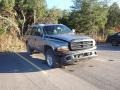 Bright Platinum Metallic 1999 Dodge Durango SLT 4x4