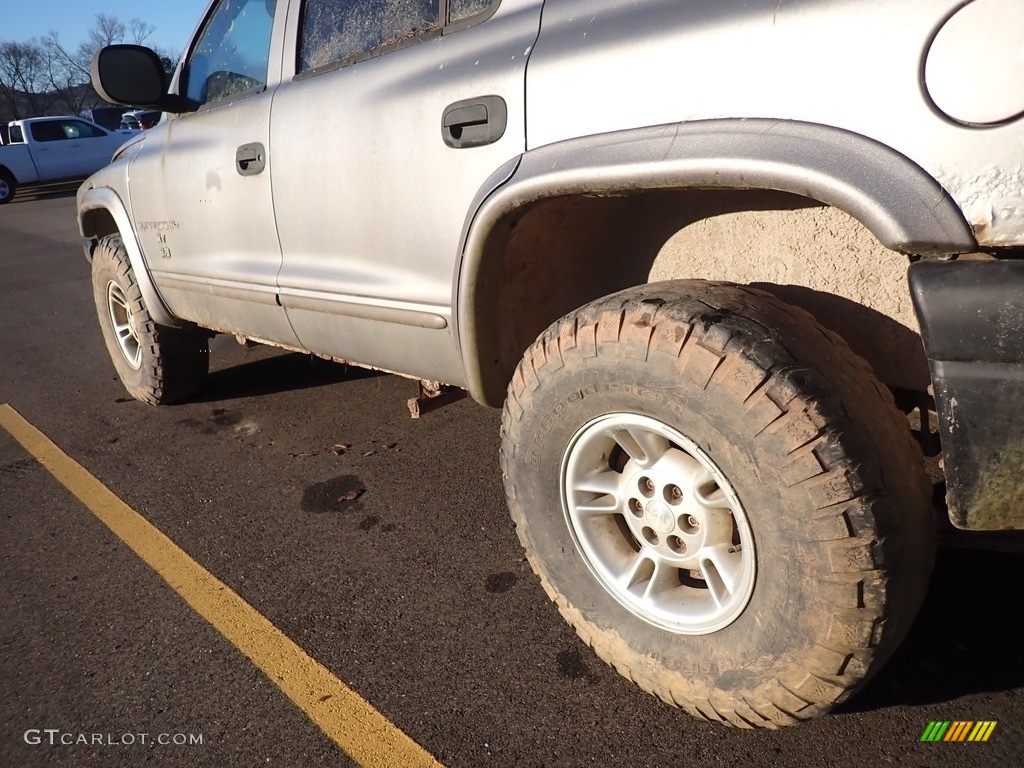 1999 Durango SLT 4x4 - Bright Platinum Metallic / Agate photo #7