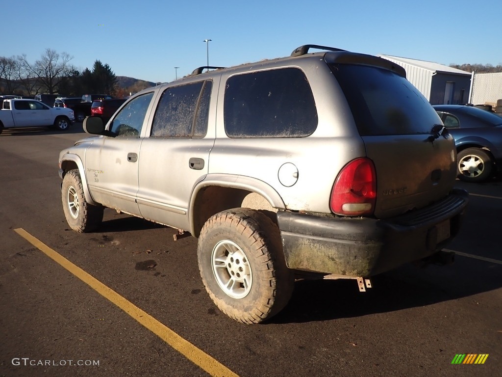 1999 Durango SLT 4x4 - Bright Platinum Metallic / Agate photo #8