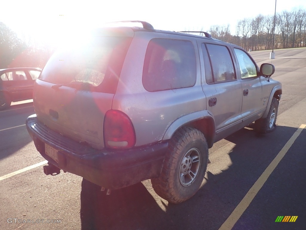 1999 Durango SLT 4x4 - Bright Platinum Metallic / Agate photo #10
