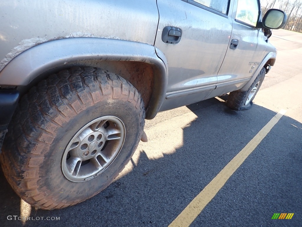 1999 Durango SLT 4x4 - Bright Platinum Metallic / Agate photo #11