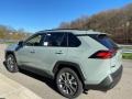 Lunar Rock 2021 Toyota RAV4 XLE Premium AWD Exterior