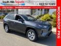 Magnetic Gray Metallic - RAV4 XLE AWD Hybrid Photo No. 1