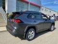 Magnetic Gray Metallic - RAV4 XLE AWD Hybrid Photo No. 14