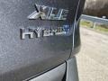 Magnetic Gray Metallic - RAV4 XLE AWD Hybrid Photo No. 29