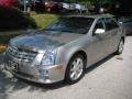 2006 Light Platinum Cadillac STS V6  photo #8