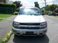 2003 Light Pewter Metallic Chevrolet TrailBlazer LS 4x4  photo #1