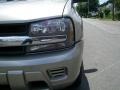 2003 Light Pewter Metallic Chevrolet TrailBlazer LS 4x4  photo #5