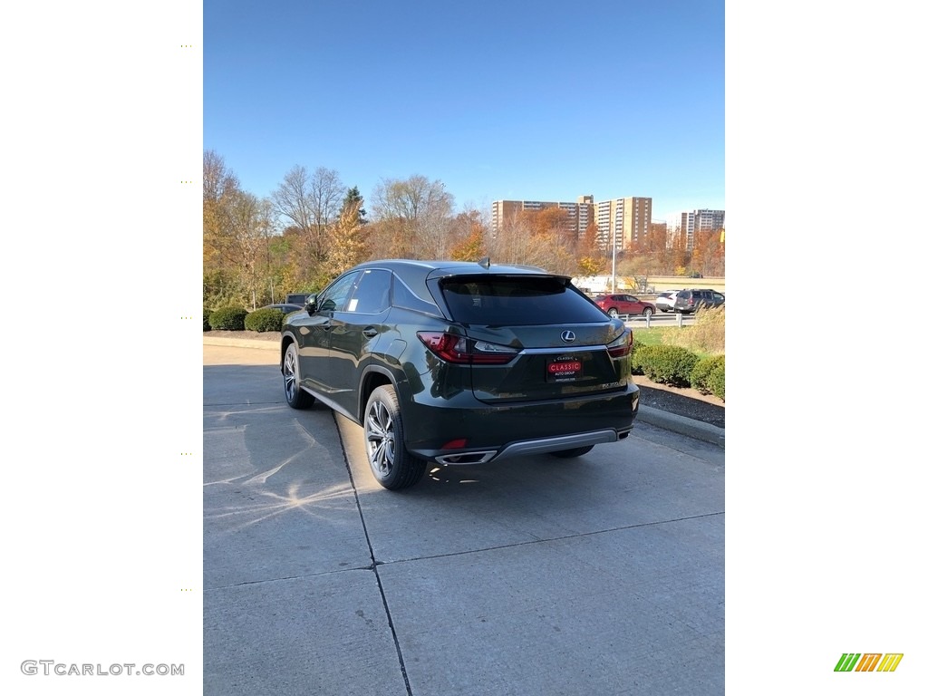 2021 RX 350 AWD - Nori Green Pearl / Parchment photo #4