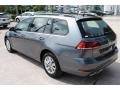 Platinum Gray Metallic - Golf SportWagen S Photo No. 6