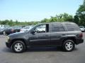 2004 Dark Gray Metallic Chevrolet TrailBlazer LT 4x4  photo #10