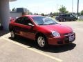 2005 Flame Red Dodge Neon SXT  photo #3