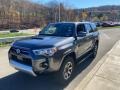 Magnetic Gray Metallic - 4Runner TRD Off Road Premium 4x4 Photo No. 12