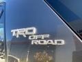Magnetic Gray Metallic - 4Runner TRD Off Road Premium 4x4 Photo No. 24