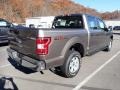 2020 Stone Gray Ford F150 XL SuperCrew 4x4  photo #2