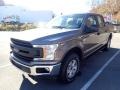 2020 Stone Gray Ford F150 XL SuperCrew 4x4  photo #5