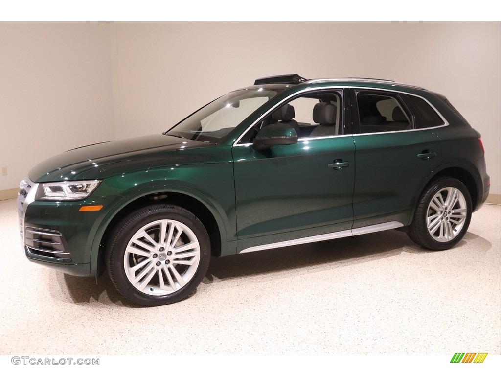 Azores Green Metallic 2018 Audi Q5 2.0 TFSI Premium Plus quattro Exterior Photo #140163513