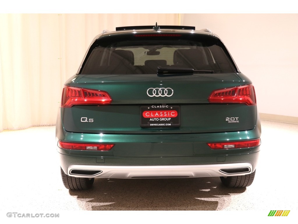 2018 Q5 2.0 TFSI Premium Plus quattro - Azores Green Metallic / Rock Gray photo #25