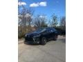 Caviar - RX 350 AWD Photo No. 1