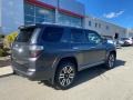 Magnetic Gray Metallic - 4Runner Limited 4x4 Photo No. 13