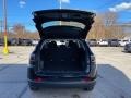 Diamond Black Crystal Pearl - Compass Sport Photo No. 11