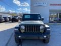 Sarge Green - Wrangler Sport 4x4 Photo No. 7