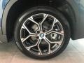 2021 BMW X1 xDrive28i Wheel and Tire Photo