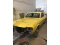 Yellow - Mustang Coupe Photo No. 27