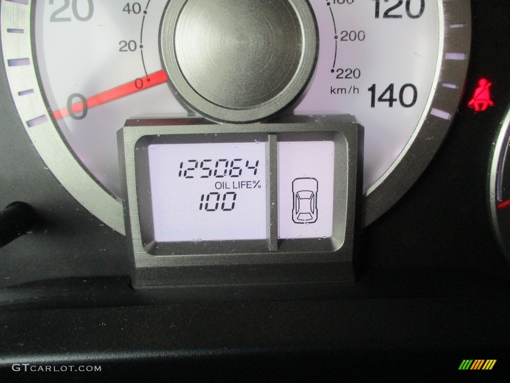 2010 Pilot LX 4WD - Mocha Metallic / Beige photo #20