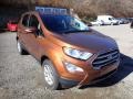 2020 Canyon Ridge Metallic Ford EcoSport SE 4WD  photo #3