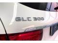 Polar White - GLC 300 Photo No. 31