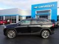 Ebony Twilight Metallic - Terrain SLT AWD Photo No. 3