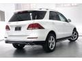 Polar White - GLE 350 Photo No. 13