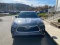 Magnetic Gray Metallic - Highlander XLE AWD Photo No. 13