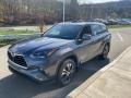 Magnetic Gray Metallic - Highlander XLE AWD Photo No. 14