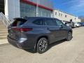 Magnetic Gray Metallic - Highlander XLE AWD Photo No. 16