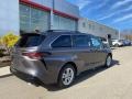 Predawn Gray Mica - Sienna XSE AWD Hybrid Photo No. 11