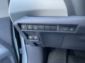 Gray Controls Photo for 2021 Toyota Sienna #140200095