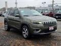 2021 Olive Green Pearl Jeep Cherokee Limited 4x4  photo #1