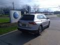 Pyrite Silver Metallic - Tiguan S Photo No. 2