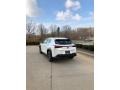 Eminent White Pearl - UX 250h AWD Photo No. 4