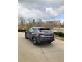 Nebula Gray Pearl - UX 250h AWD Photo No. 4