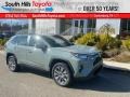 Lunar Rock - RAV4 XLE Premium AWD Photo No. 1